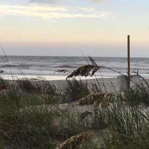 Meet your Posher, Tim